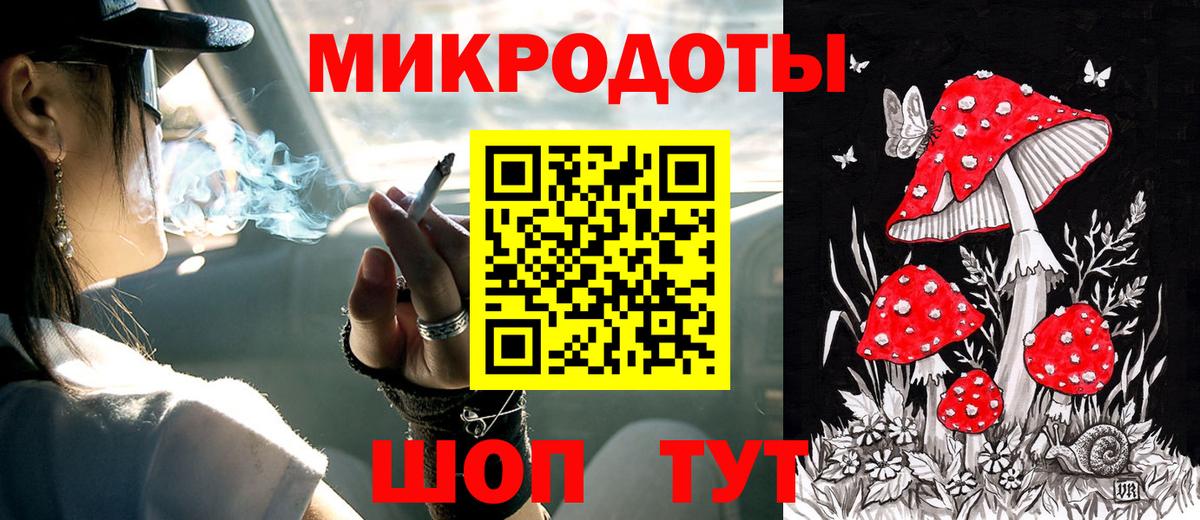 Псилоцибиновые грибы Psilocybe Кирово-Чепецк