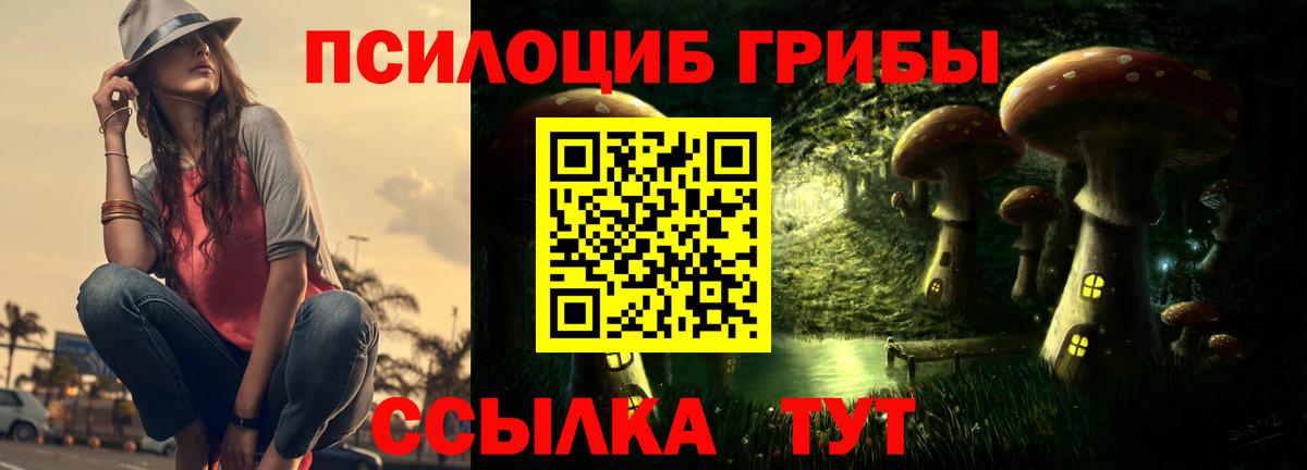 Кирово-Чепецк  Галлюциногенные грибы ЛСД  Вход с VPN 